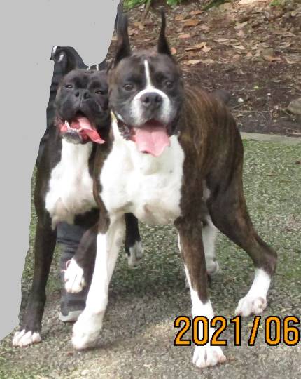 生き物ルーム第46