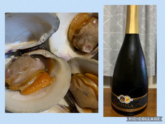 【スナックJINJIN】今宵はミルキーウェイを見ながらもう一杯！