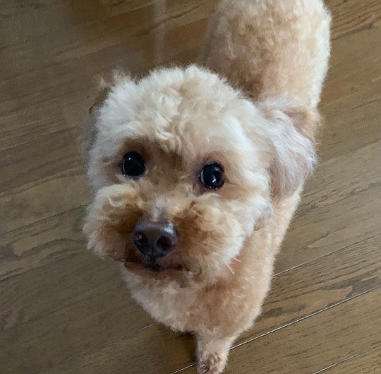 生き物ルーム第46