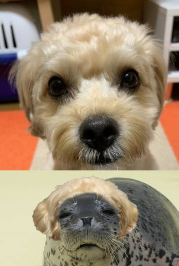 生き物ルーム第46