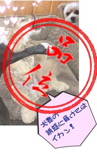 生き物ルーム第46