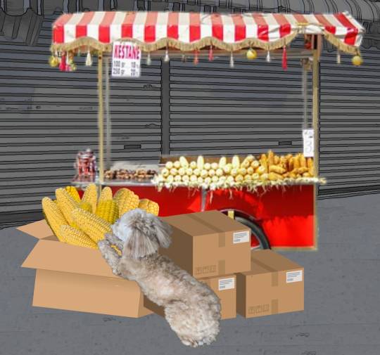 生き物ルーム第46