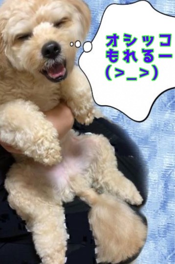 生き物ルーム第46