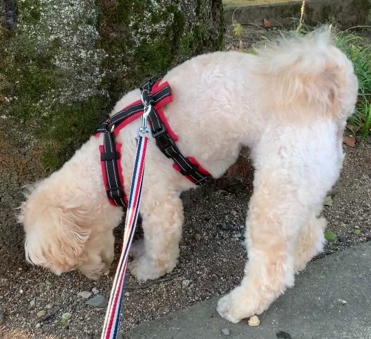 生き物ルーム第47