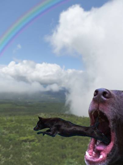 生き物ルーム第46