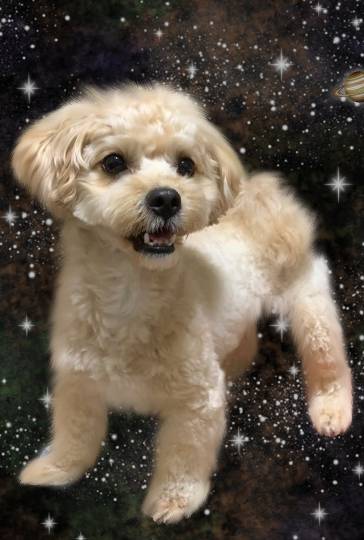 雑談お絵描き部10 画像関係