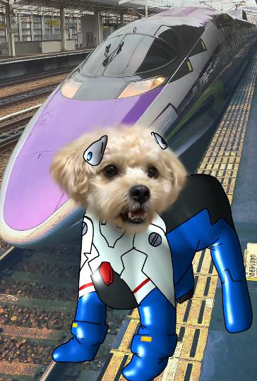 生き物ルーム第46