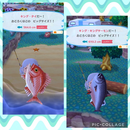 あつまれ‼︎雑談&ゲーム好きの森 season2#4 笹の葉さ〜らさら〜♪♪