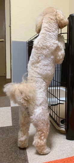 生き物ルーム第47