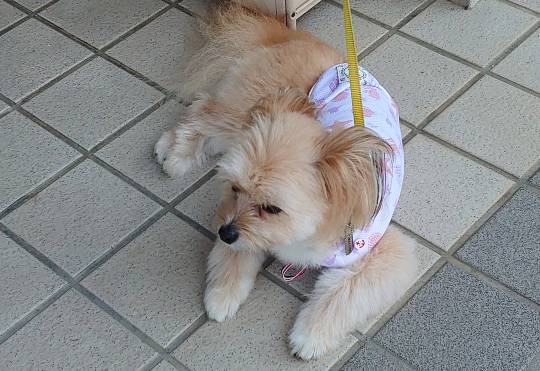 生き物ルーム第47