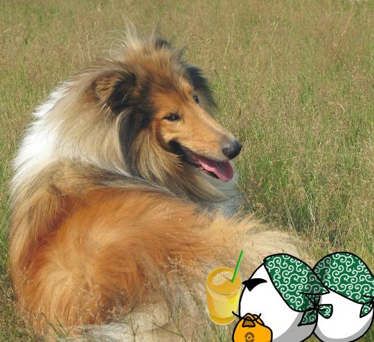 EGG'S CAFE 　Cha 茶 ちゃ♪