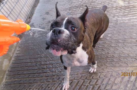 生き物ルーム第47