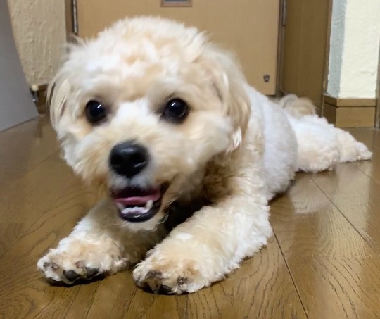 生き物ルーム第46