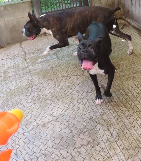 生き物ルーム第47