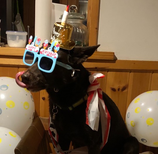 生き物ルーム第46