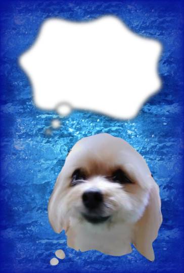 生き物ルーム第46