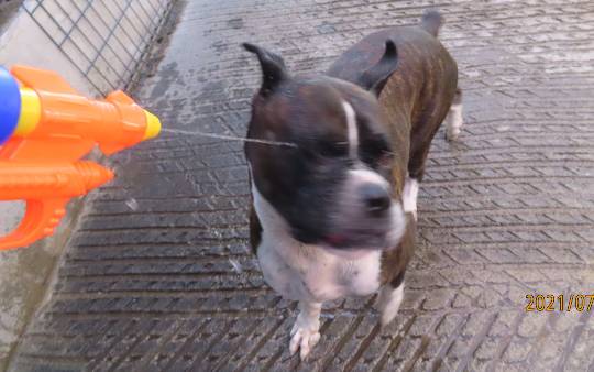 生き物ルーム第47