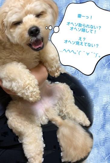 生き物ルーム第46