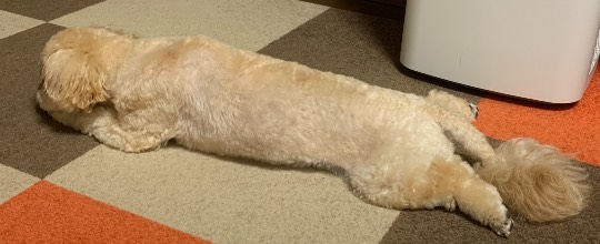 生き物ルーム第47