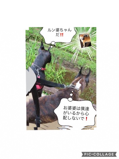 生き物ルーム第46