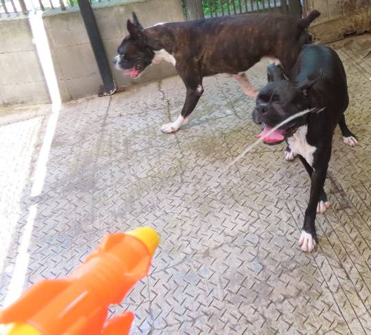 生き物ルーム第47