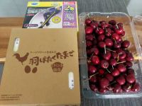 7月14日(水曜日)　広島倉庫店｜フィニッシュのタブレット150入り、
...