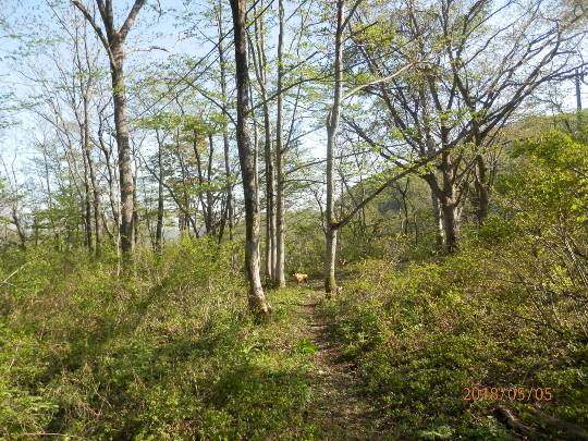 生き物ルーム第46