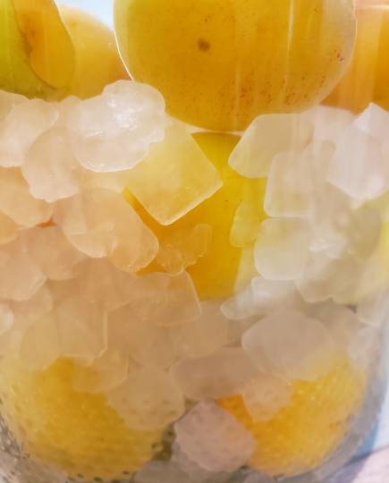 マスク同窓会詰所兼ニューフェイス歓迎所28(絆)