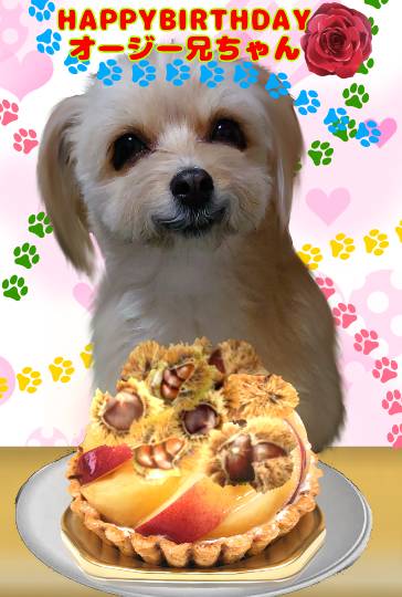 生き物ルーム第46