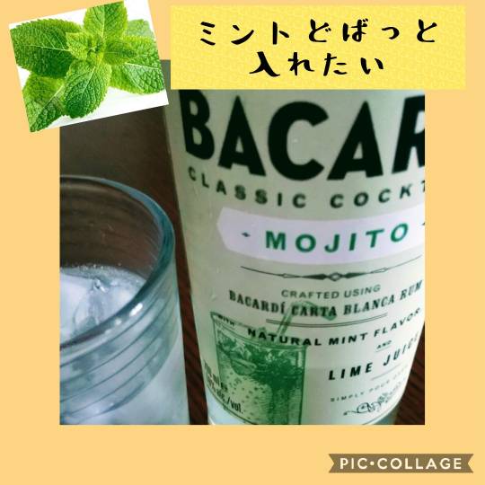 【スナックJINJIN】今宵はミルキーウェイを見ながらもう一杯!