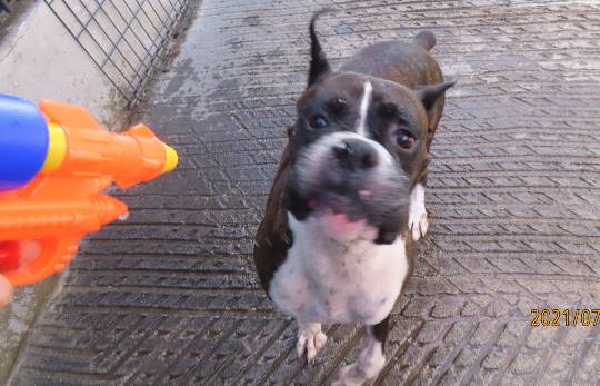 生き物ルーム第47