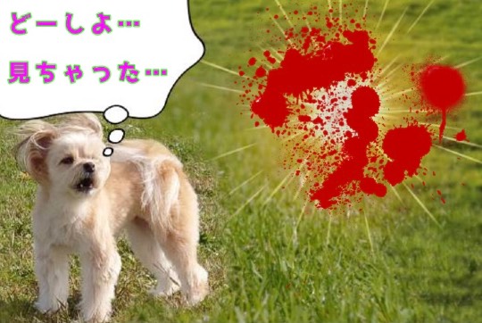 生き物ルーム第46