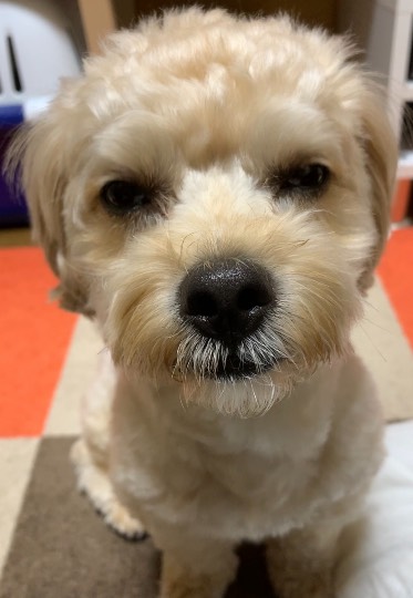 生き物ルーム第46