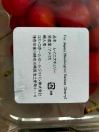 レイニアチェリー