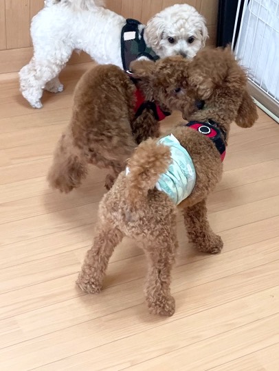 生き物ルーム第46