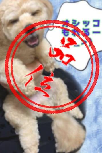 生き物ルーム第46