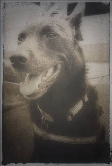 生き物ルーム第46