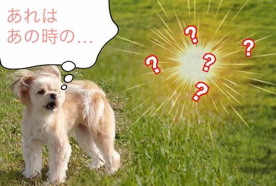 生き物ルーム第46