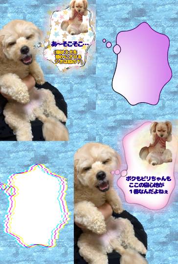 生き物ルーム第46