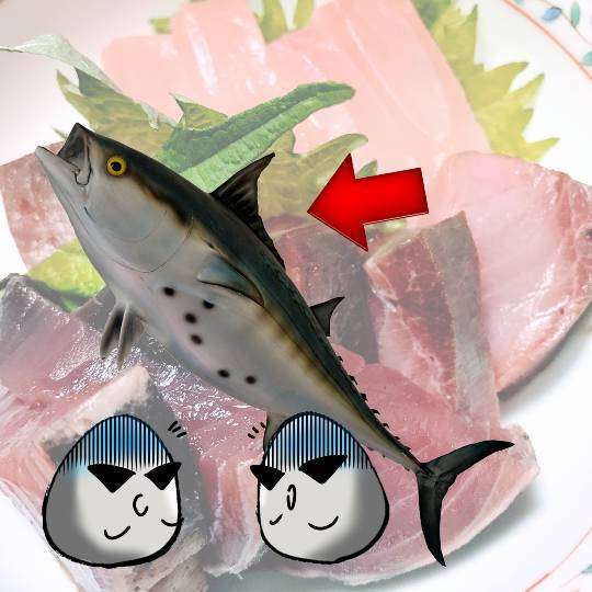 EGG'S CAFE Cha 茶 ちゃ♪