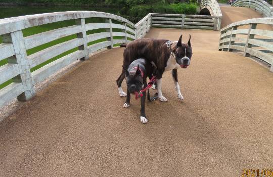 生き物ルーム第46