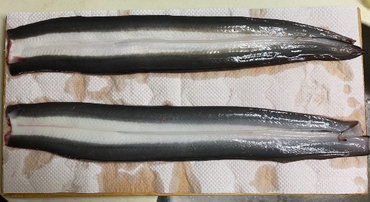 【料理トピ】知り隊　食い隊　調べ隊　酸←味