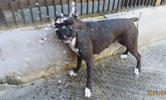 生き物ルーム第46