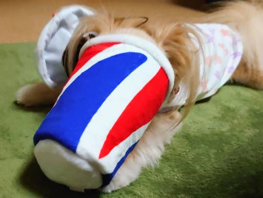 生き物ルーム第46