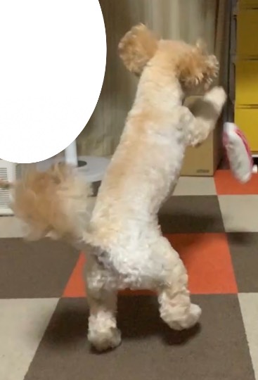 生き物ルーム第47