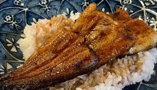 【料理トピ】知り隊　食い隊　調べ隊　酸←味