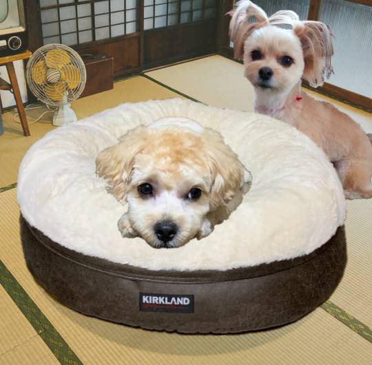 生き物ルーム第46