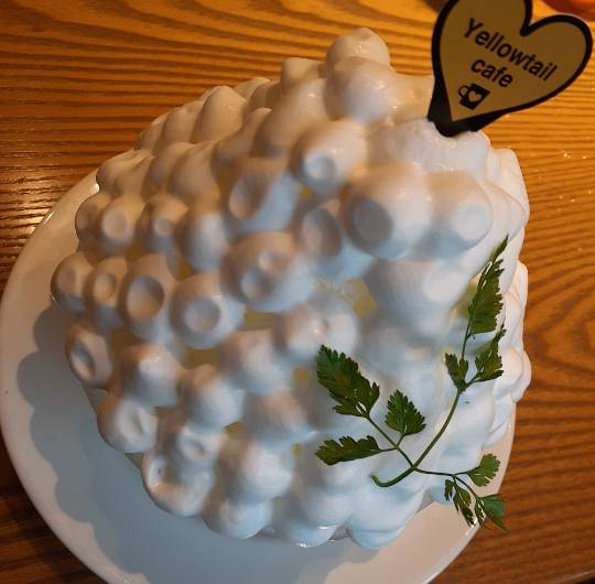 ★ドンキ♡♡ロピア 雑談39★