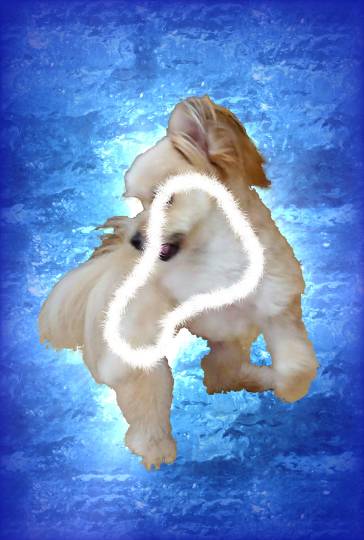 生き物ルーム第46