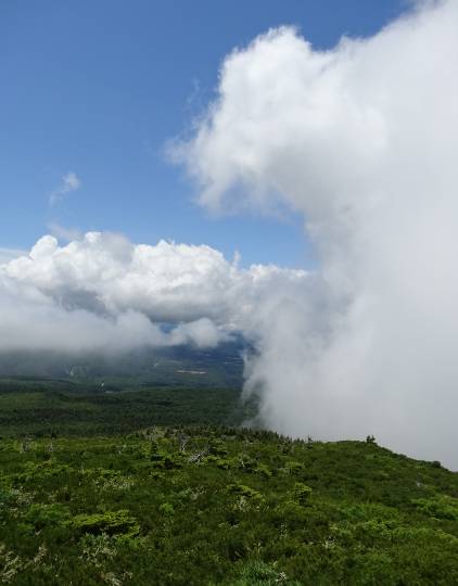 生き物ルーム第46